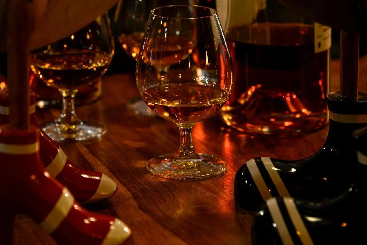 帕尔戴兰酒店 Gondrin 酒店
